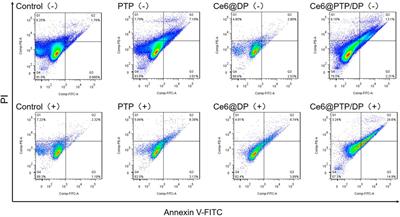 A co-delivery system based on chlorin e6-loaded ROS-sensitive polymeric prodrug with self-amplified drug release to enhance the efficacy of combination therapy for breast tumor cells